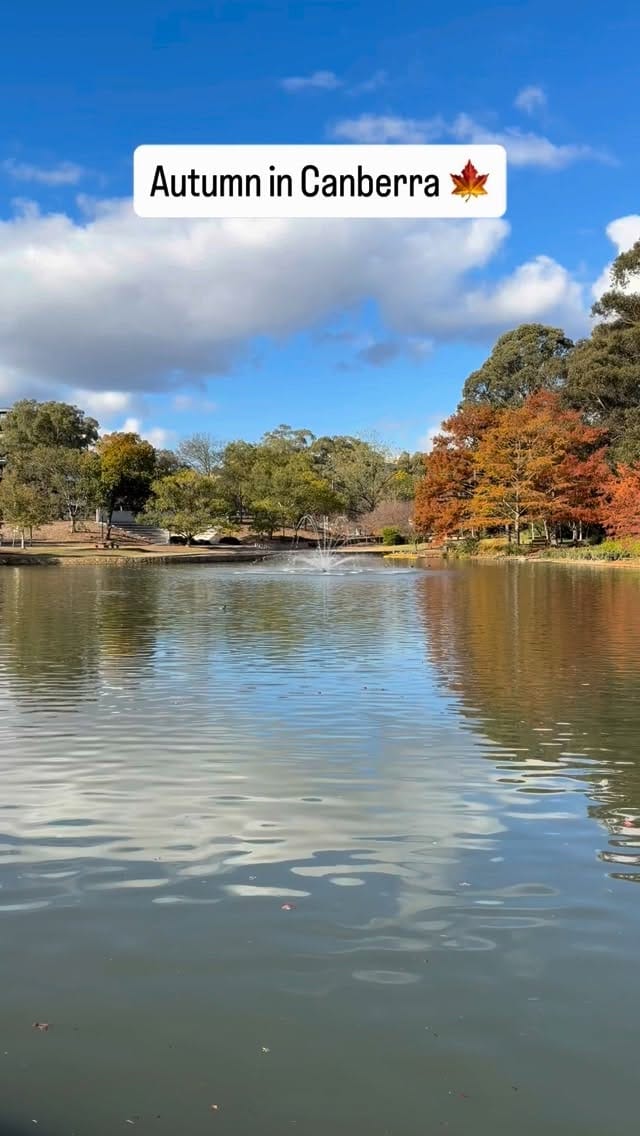 Post 4 by The Canberra Bucket List on Instagram (video)