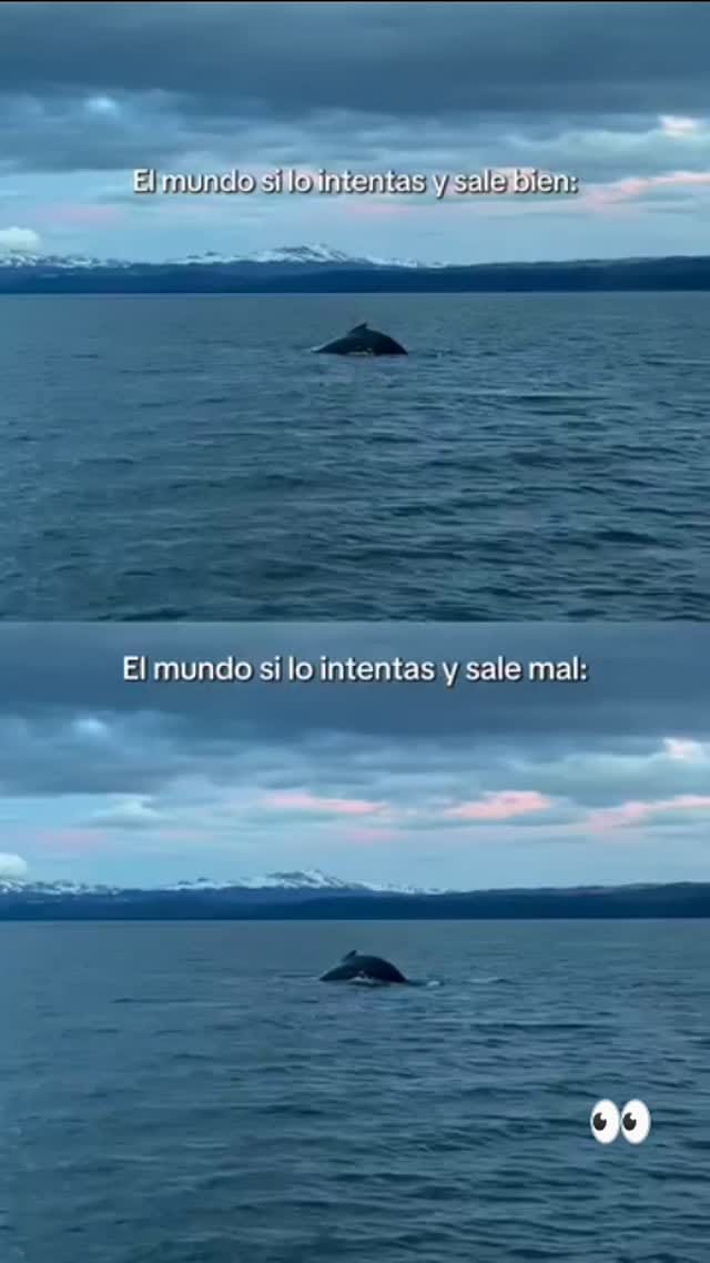Post 8 by Dr. Javier Lacorzana, MD, PhD, FEBO on Instagram (video)