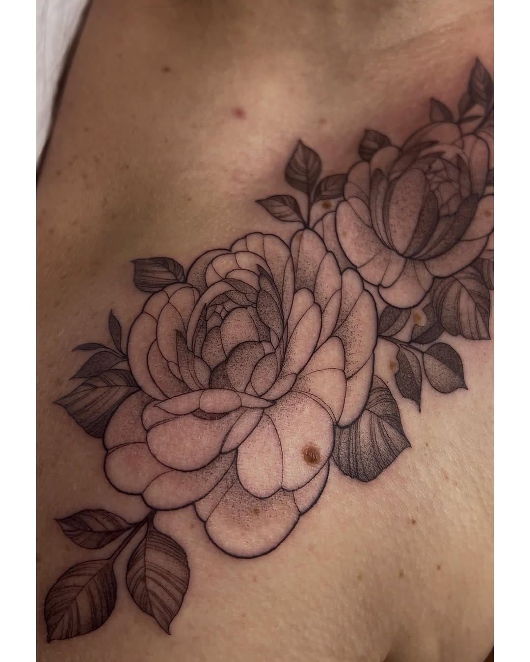 Post 2 by Tattoos By Harmony (ham/hammy) on Instagram (image)