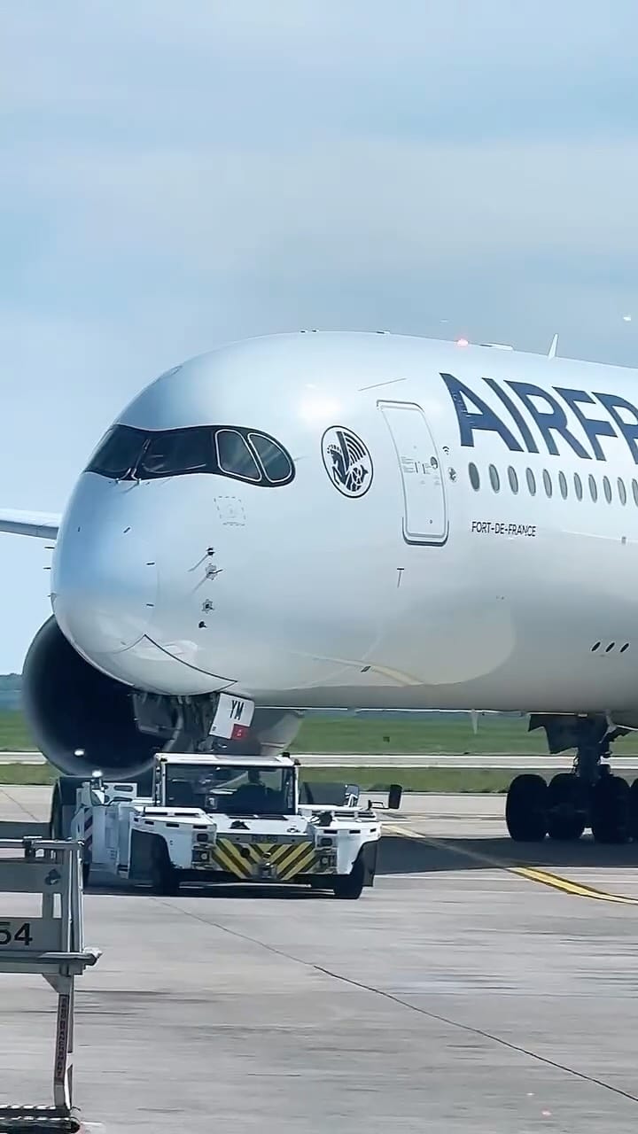 Post 4 by AFrenchgroundstaff on Instagram (video)