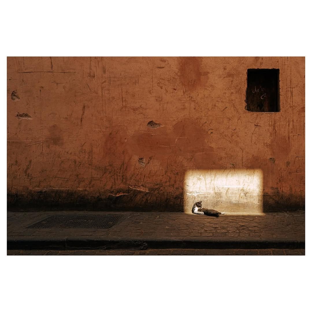 Post 10 by Tommaso Carrara on Instagram (image)