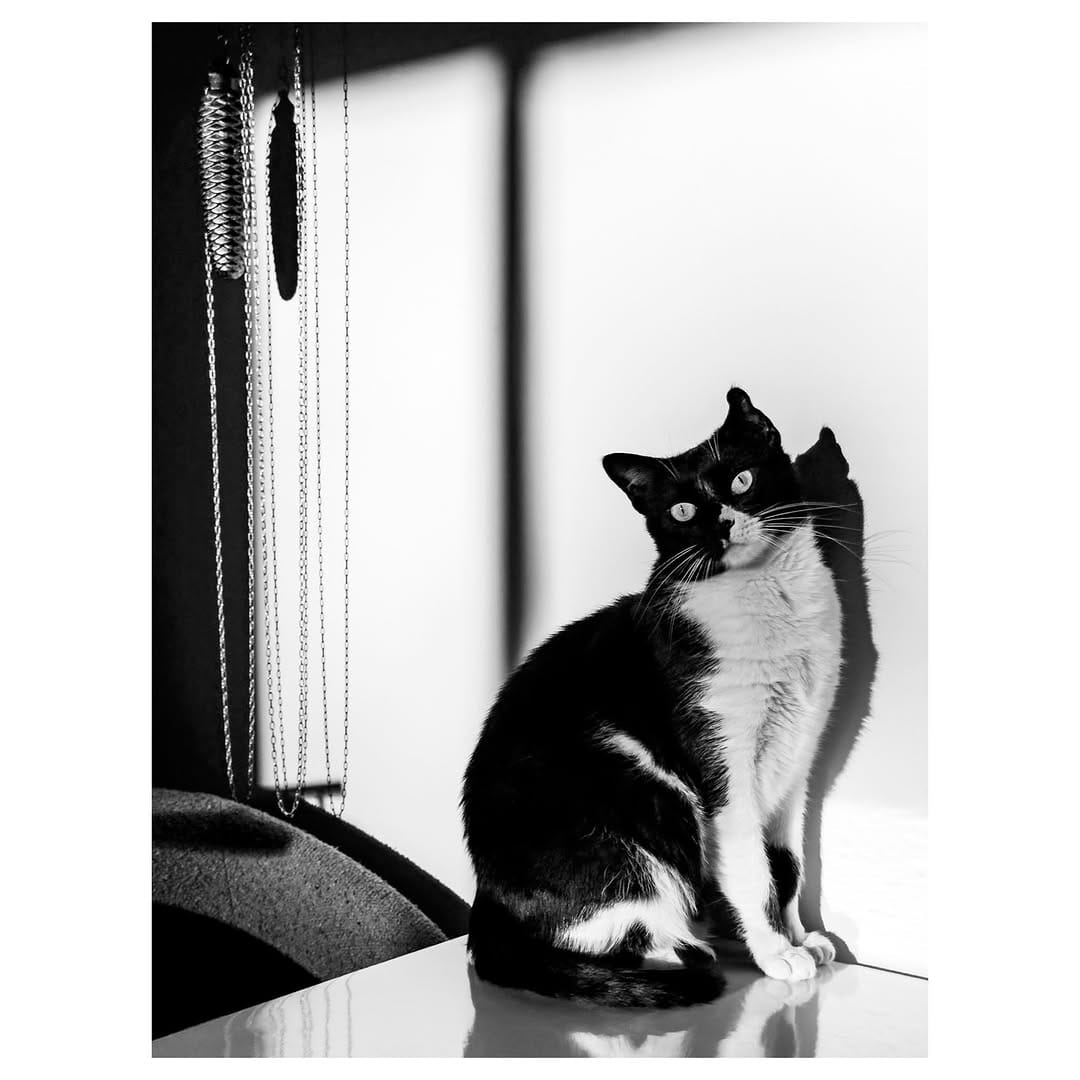 Post 1 by Tommaso Carrara on Instagram (image)