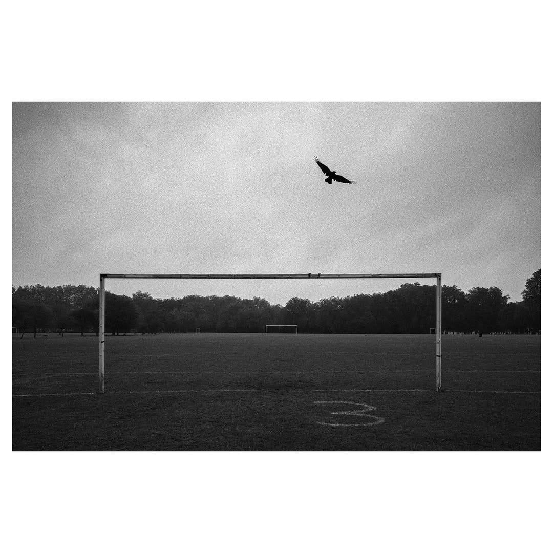 Post 8 by Tommaso Carrara on Instagram (image)