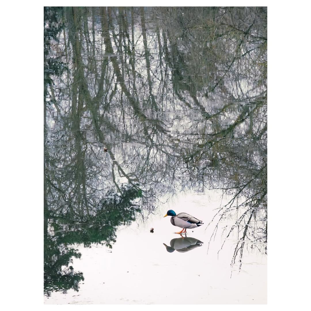 Post 2 by Tommaso Carrara on Instagram (image)