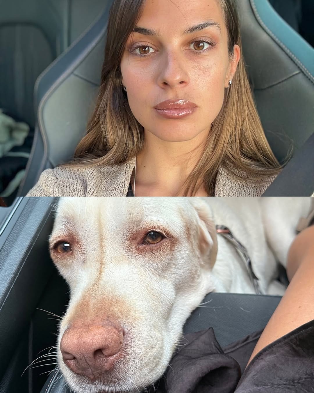 Post 8 by SanjaM Content Creator | Dog lover | Honest reviews on Instagram (image)