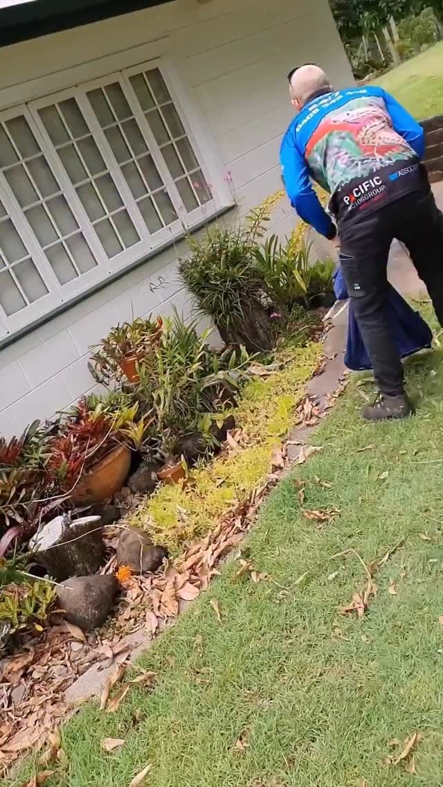Post 1 by Sunshine Coast Snake Catchers 24/7 on Instagram (video)