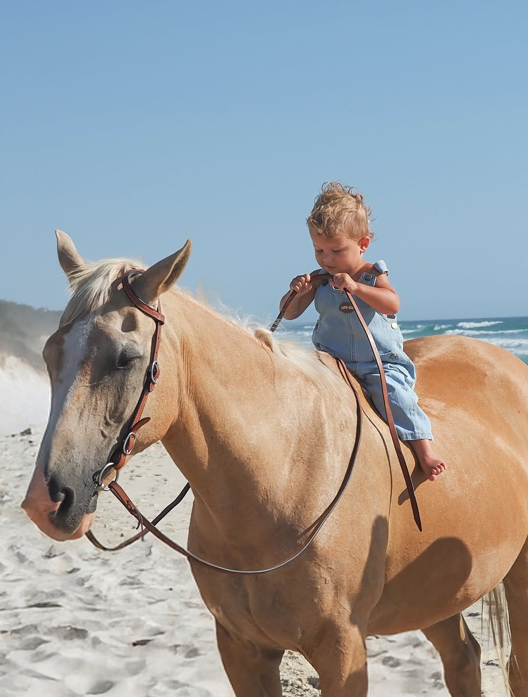 Post 3 by The Mac Pack | Gold Coast Family Creators on Instagram (carousel)