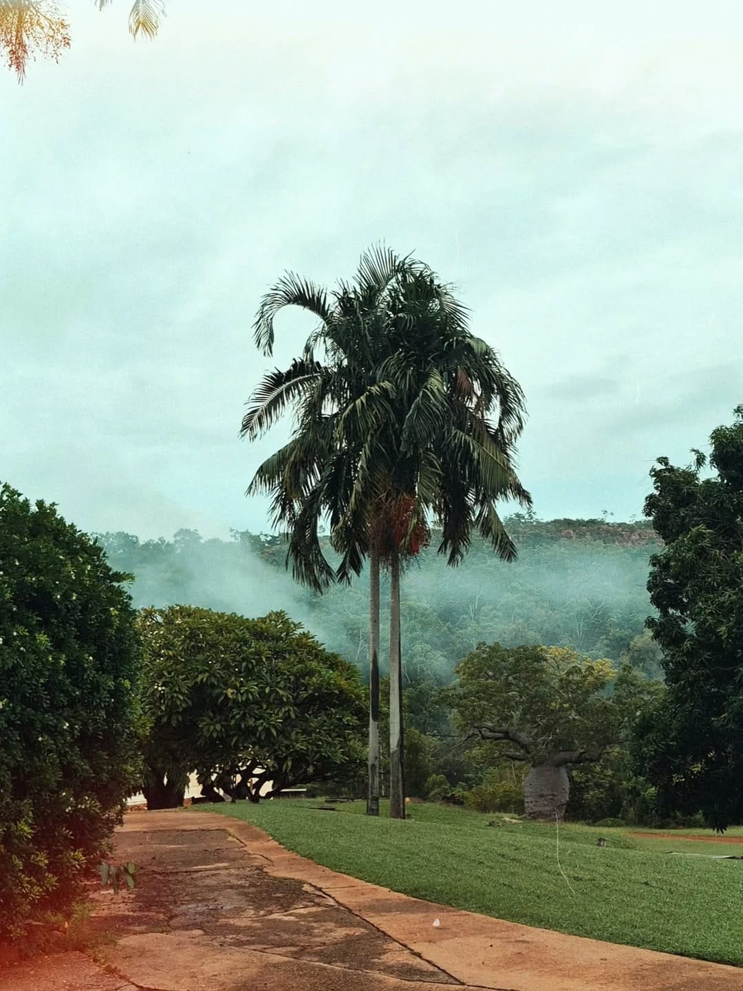 Post 4 by Tessa Margrit | Australia on Instagram (image)