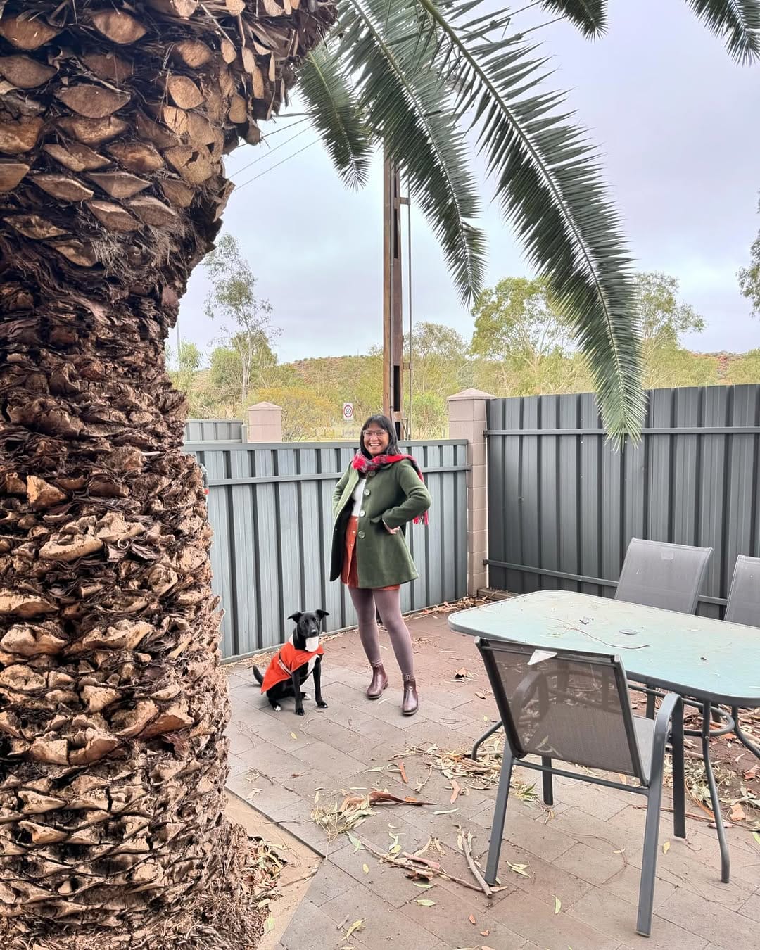 Post 10 by Bob The Rescue Puppy on Instagram (image)