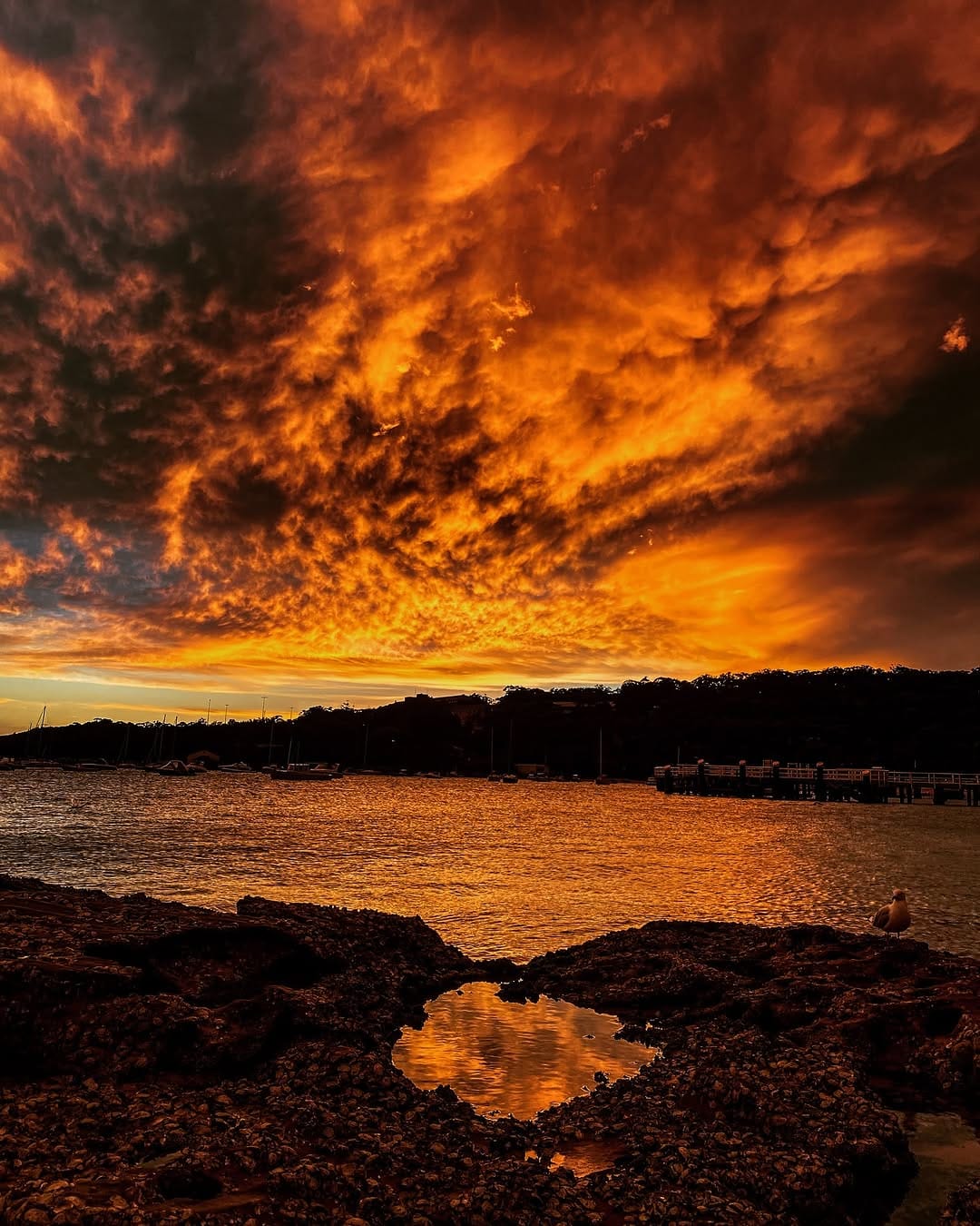Post 2 by Kate Albert on Instagram (image)