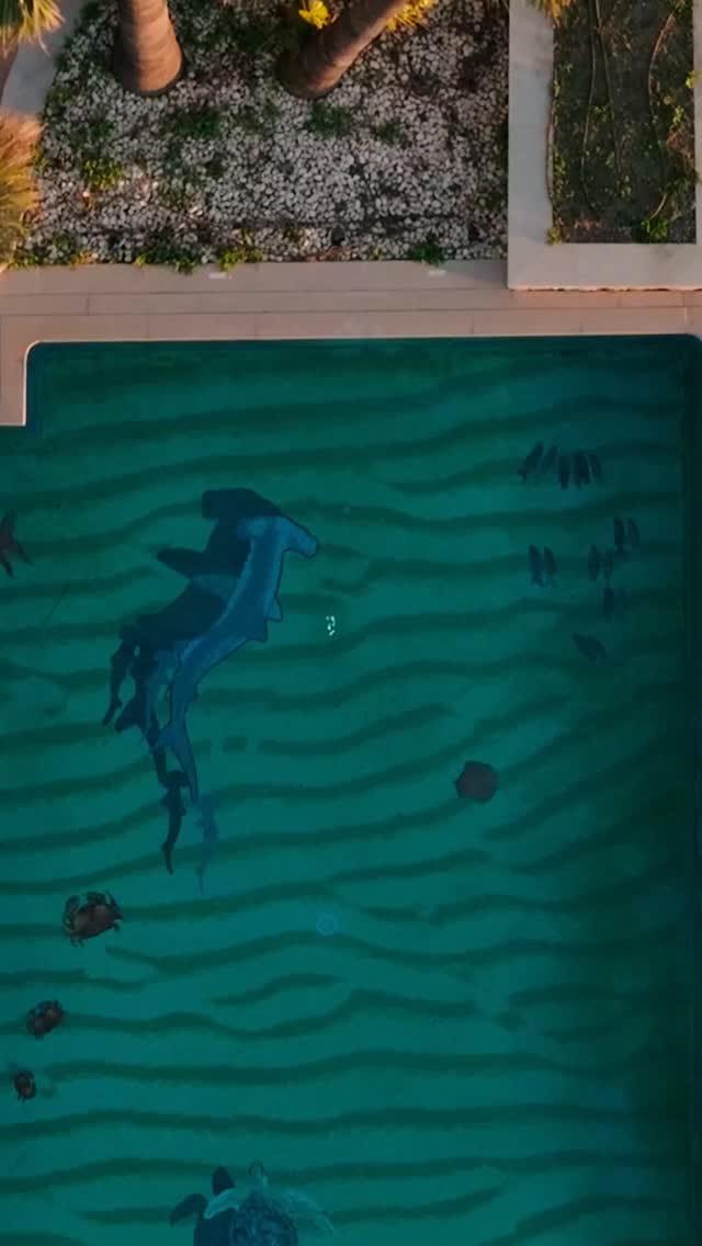 Post 5 by LIMANDAT on Instagram (video)