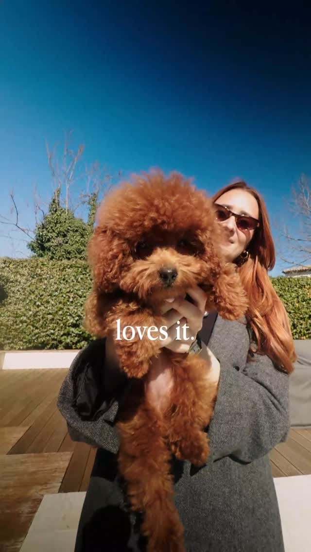 Post 3 by LIMANDAT on Instagram (video)
