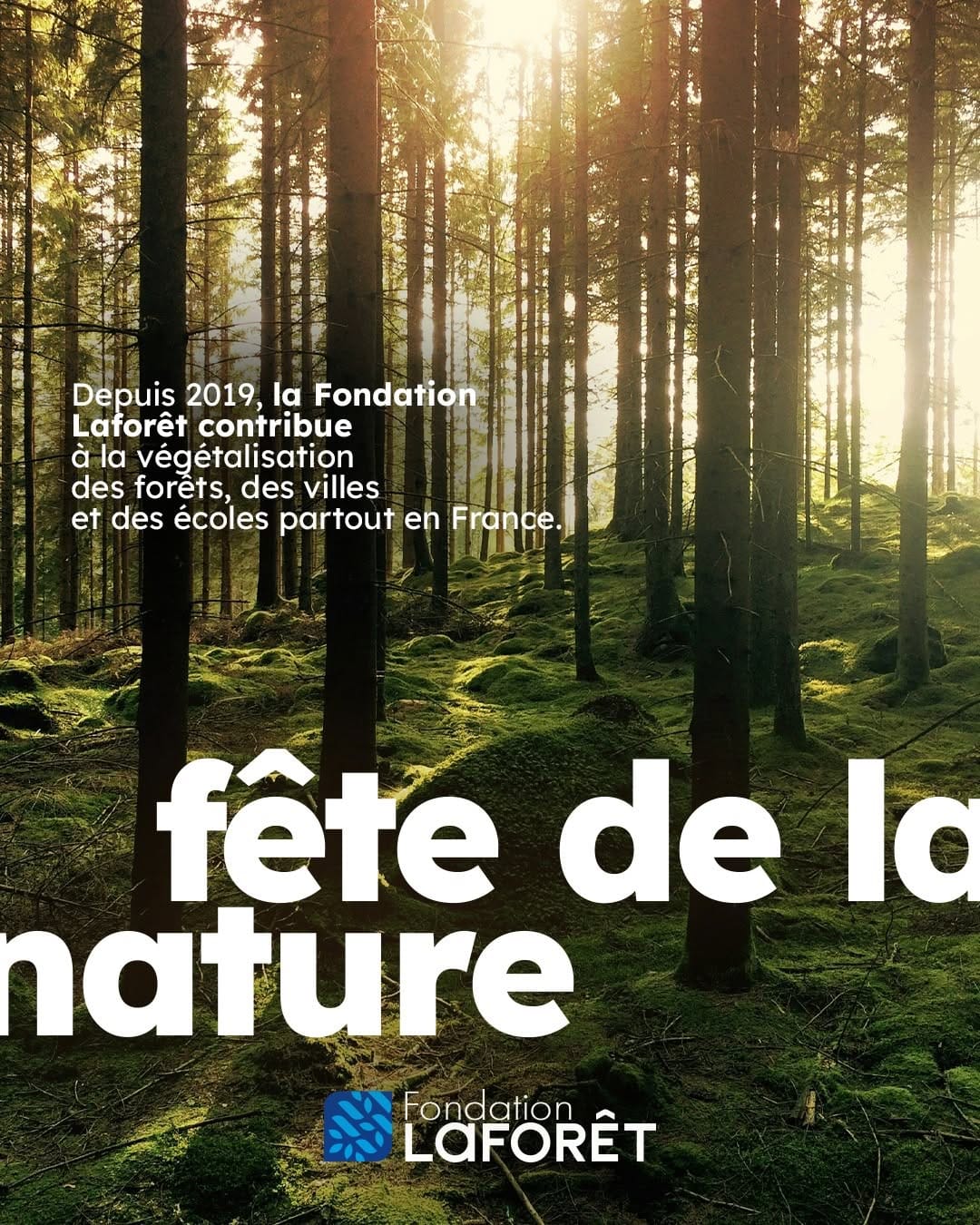 Post 9 by 🌳 Laforêt France 🌳 on Instagram (image)