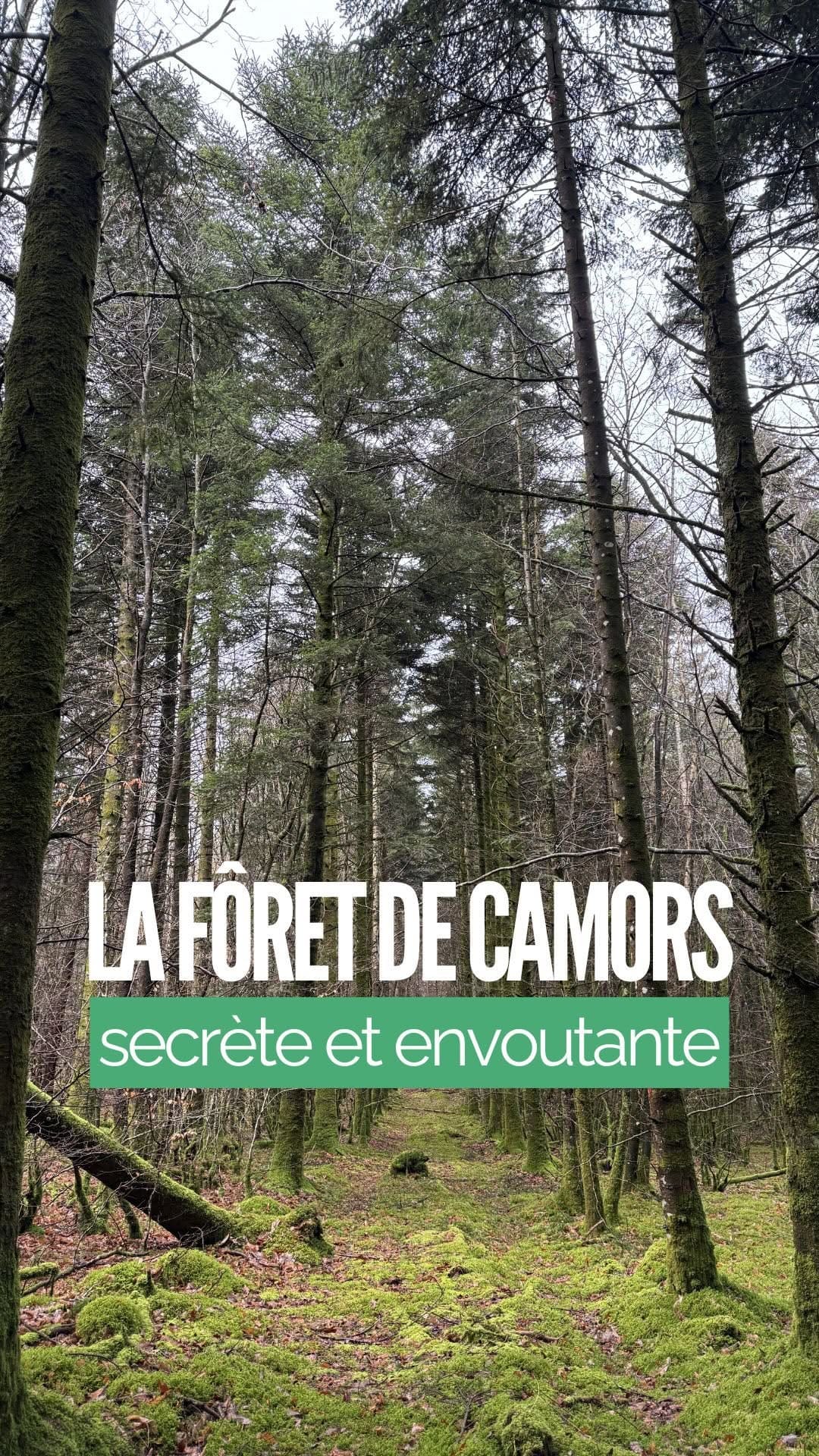 Post 9 by Gîtes de France en Bretagne on Instagram (video)