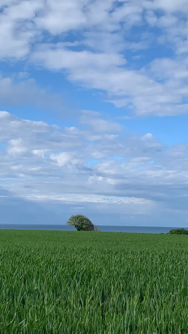 Post 5 by Les Filles du Bord de Mer on Instagram (video)