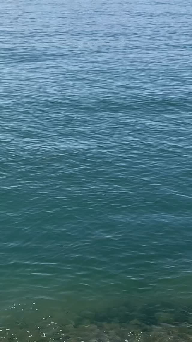 Post 2 by Les Filles du Bord de Mer on Instagram (video)