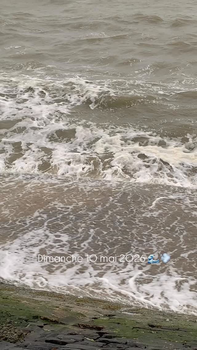 Post 6 by Les Filles du Bord de Mer on Instagram (video)