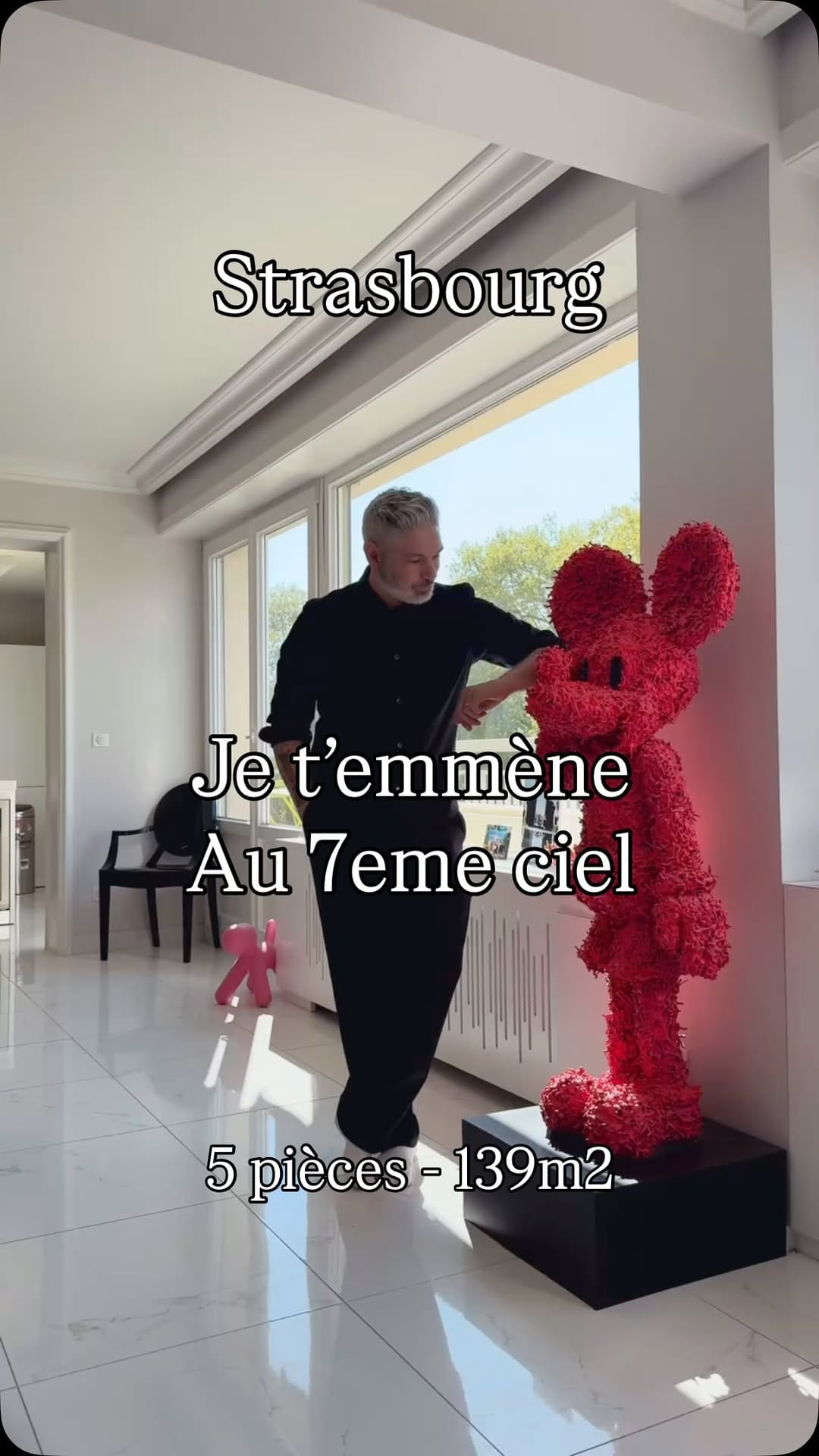 Post 5 by GAEL STURTZ agence Immobiliere Strasbourg on Instagram (video)