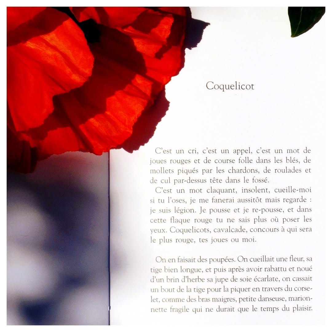 Post 2 by Anne Sylvestre officiel on Instagram (image)