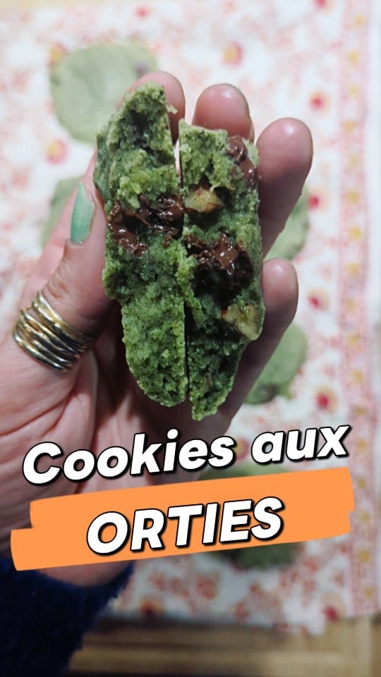 Post 2 by Ondine 🌿 on Instagram (video)