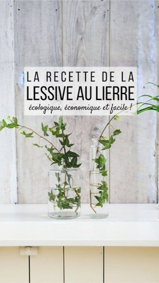 Post 10 by Ondine 🌿 on Instagram (video)