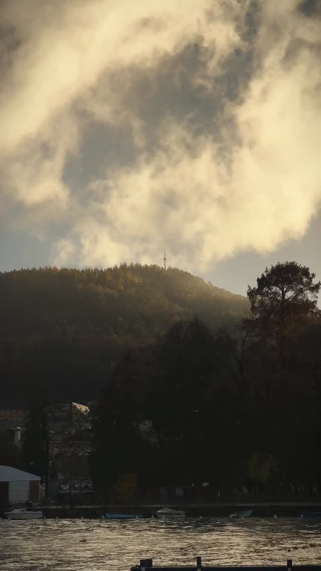 Post 6 by 𝐊𝐞𝐫𝐫𝐢𝐚𝐧 🌱 on Instagram (video)