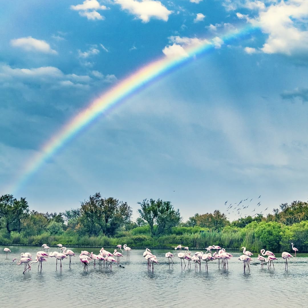 Post 3 by Enzo Fotographia on Instagram (image)