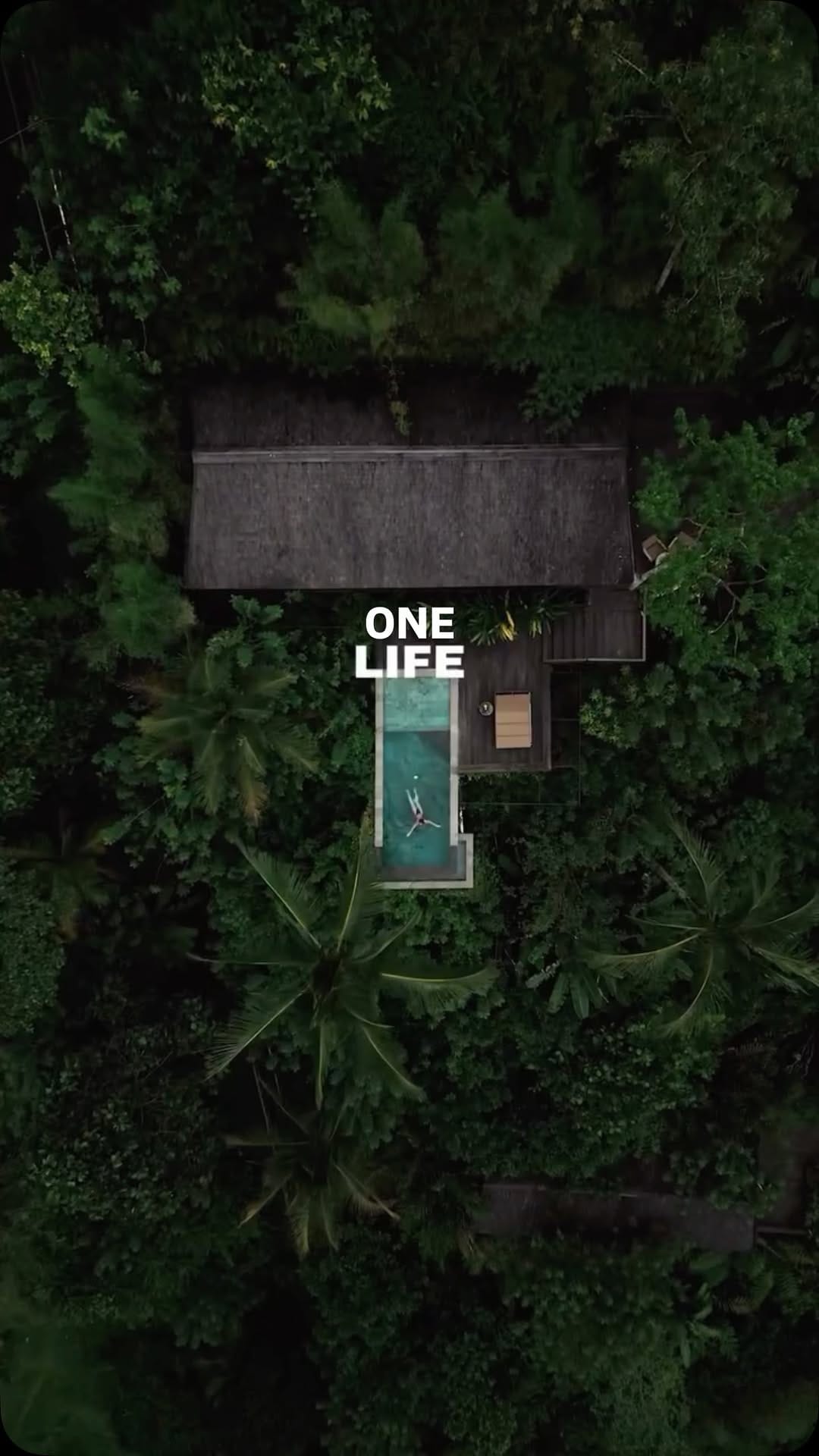 Post 7 by Lee Besser on Instagram (video)