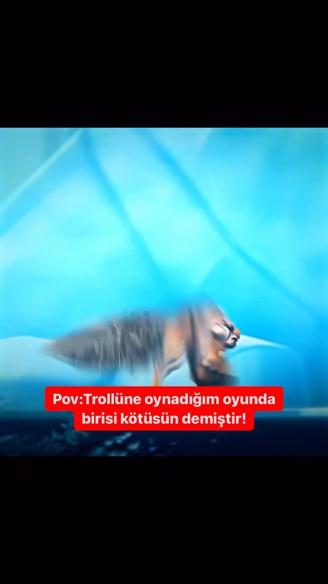 Post 7 by Katanın 50 Tonu ⚡️Yunus Emre on Instagram (video)