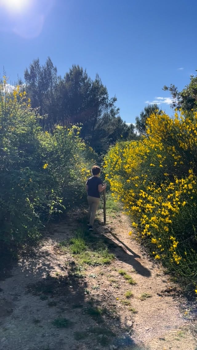 Post 2 by Mas des Ecoliers - Maison de famille en Provence on Instagram (video)