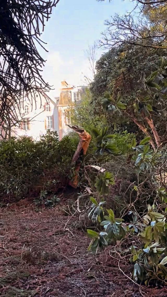Post 1 by Chateau de Montvason on Instagram (video)