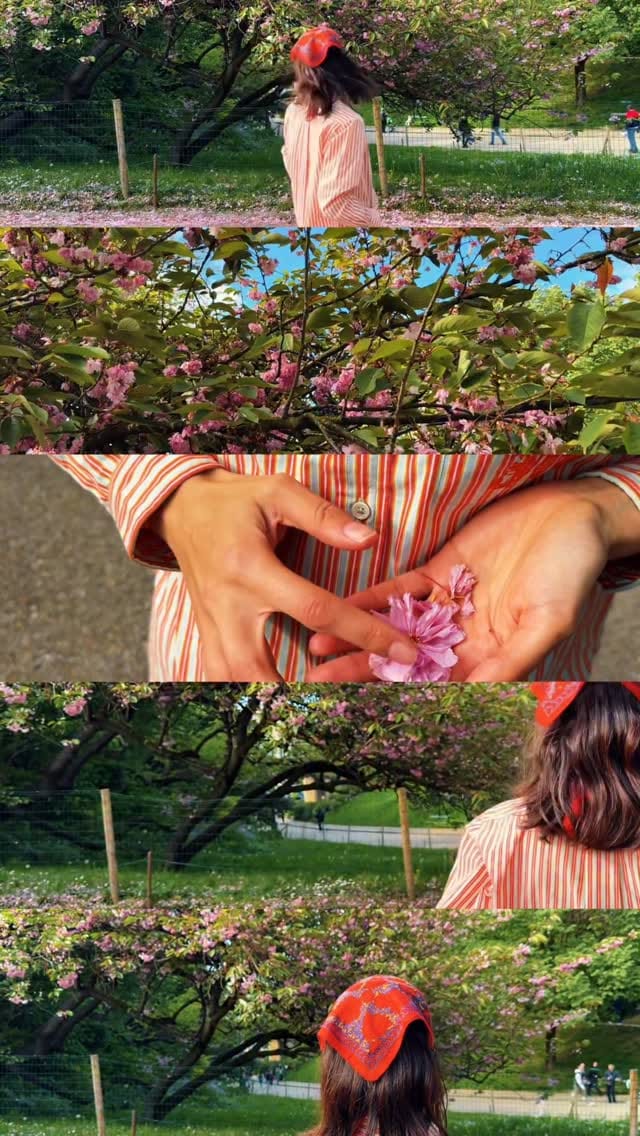 Post 3 by Zoé Léger on Instagram (video)