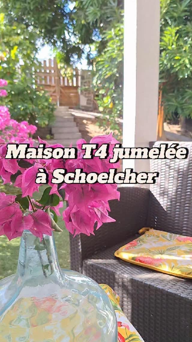 Post 3 by Miguel on Instagram (video)