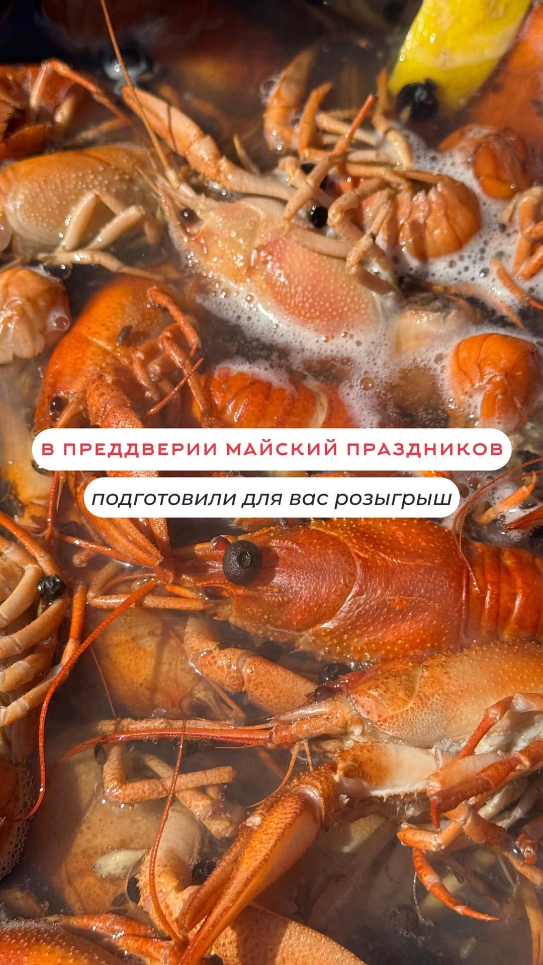 Post 2 by ГОСТЕВОЙ ДОМ БОДРЫЙ ЛОСЬ|БЕСЕДКИ🦌БАРНАУЛ on Instagram (video)