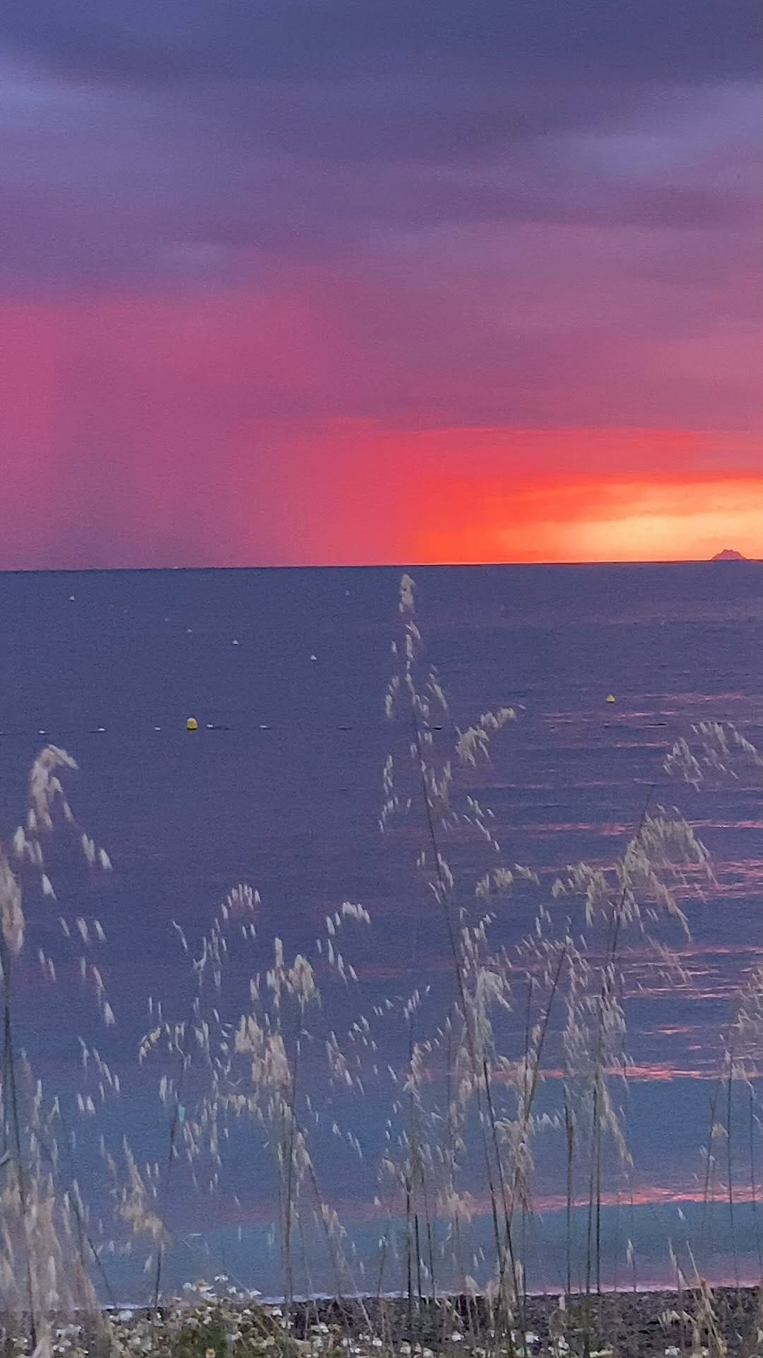 Post 9 by Ce Que Sophie Voit on Instagram (video)