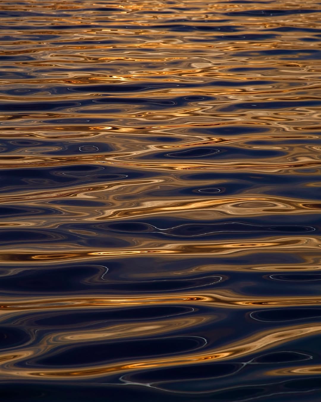 Post 5 by Ce Que Sophie Voit on Instagram (image)