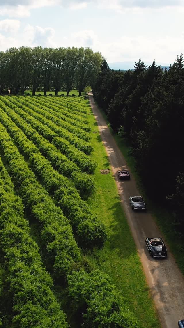 Post 6 by Le Mas des Poiriers on Instagram (video)