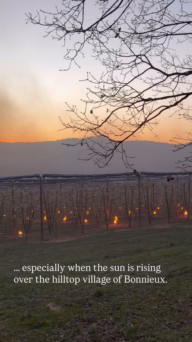 Post 9 by Maison Vue Provence on Instagram (video)