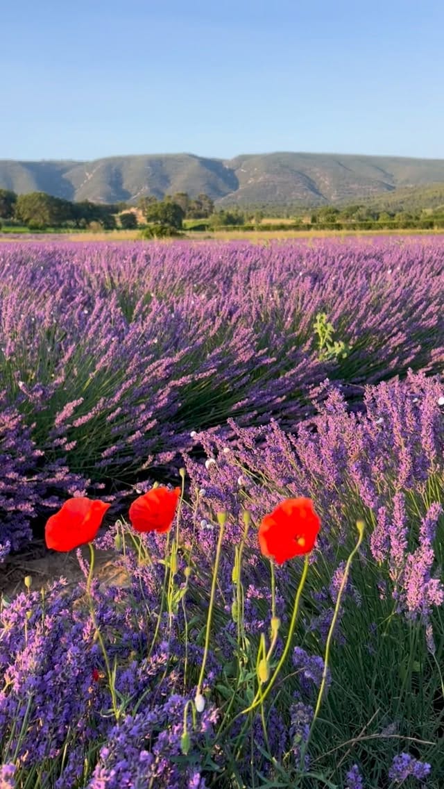 Post 3 by Maison Vue Provence on Instagram (video)