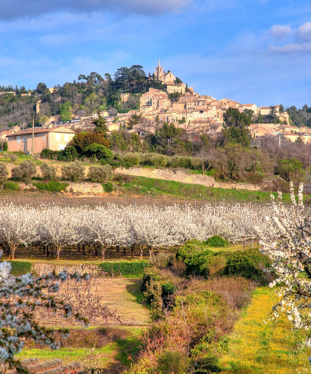 Post 8 by Maison Vue Provence on Instagram (image)