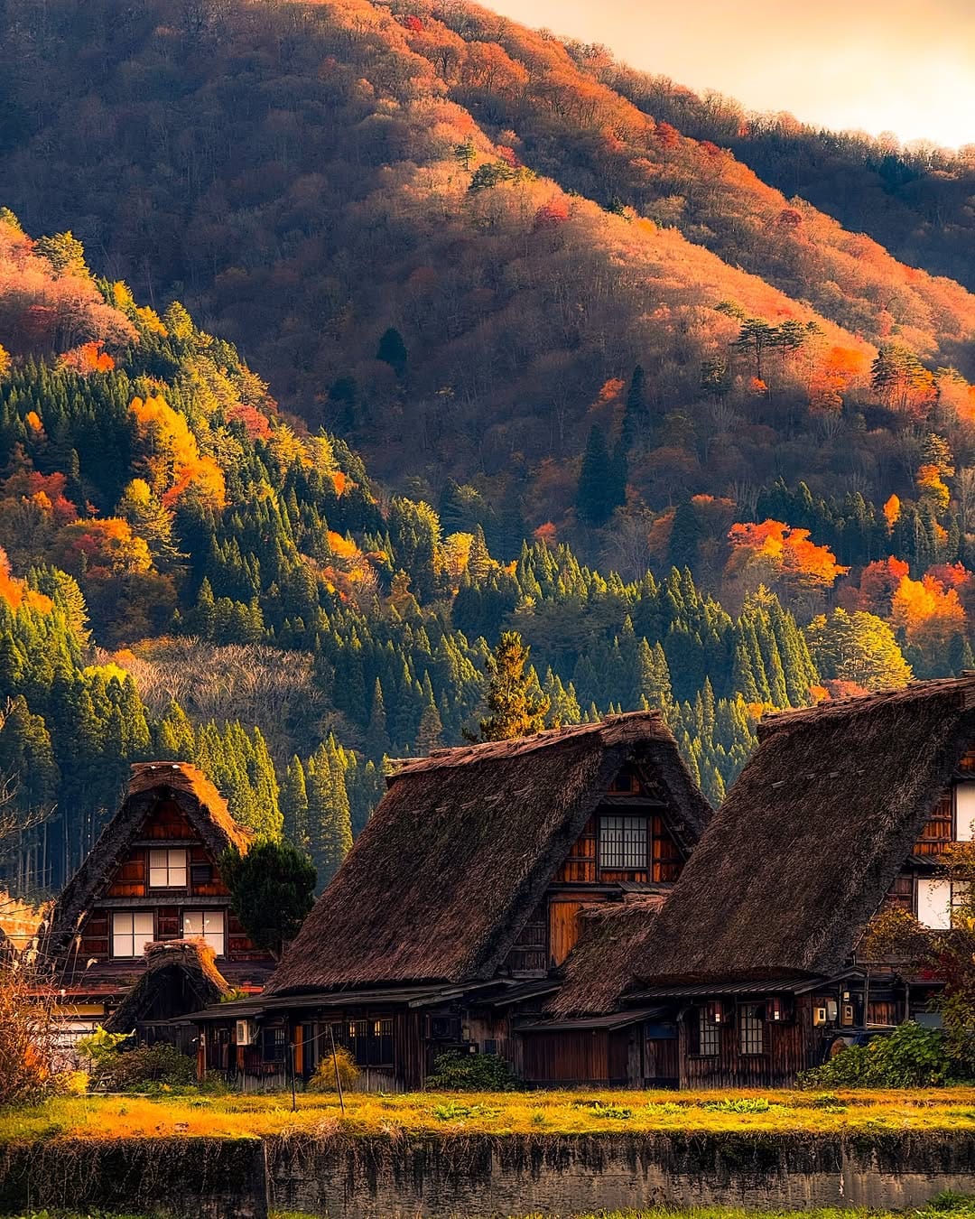 Post 4 by Yohan Mira | Photographe & Vidéaste on Instagram (image)