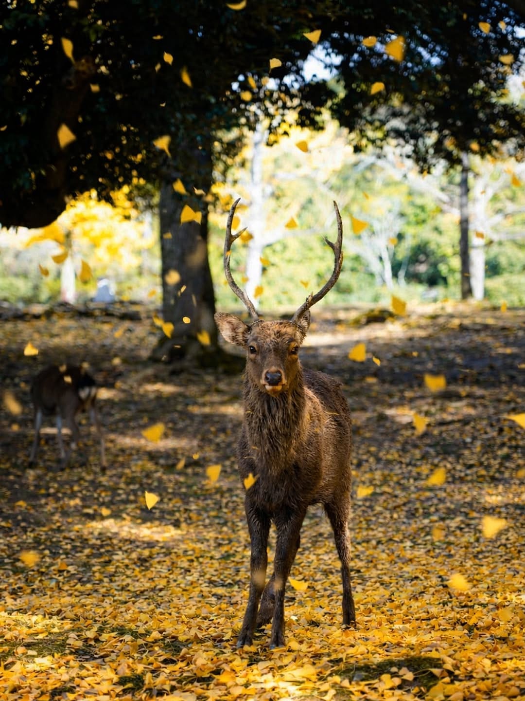 Post 9 by Yohan Mira | Photographe & Vidéaste on Instagram (image)