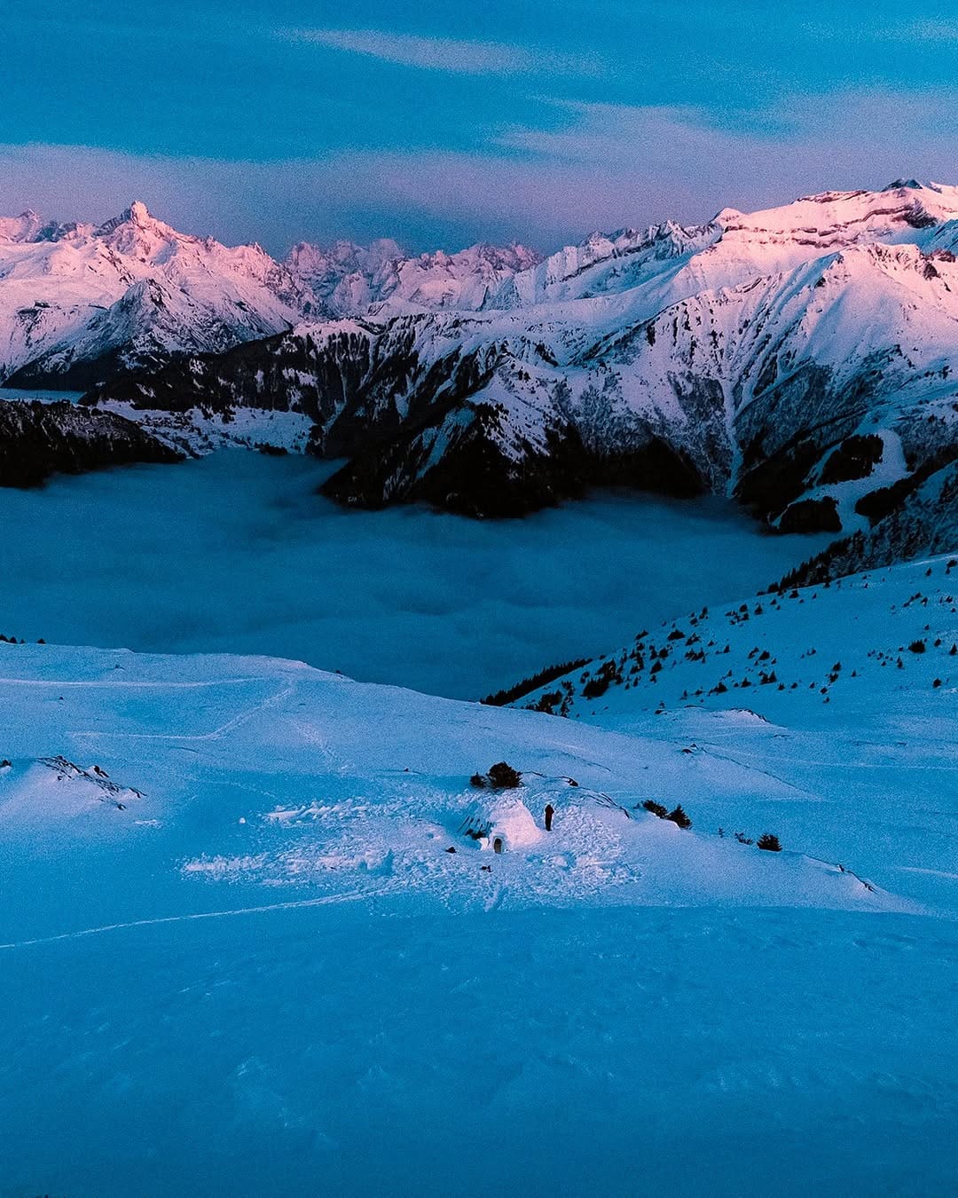 Post 7 by Xavier Bourgois on Instagram (image)