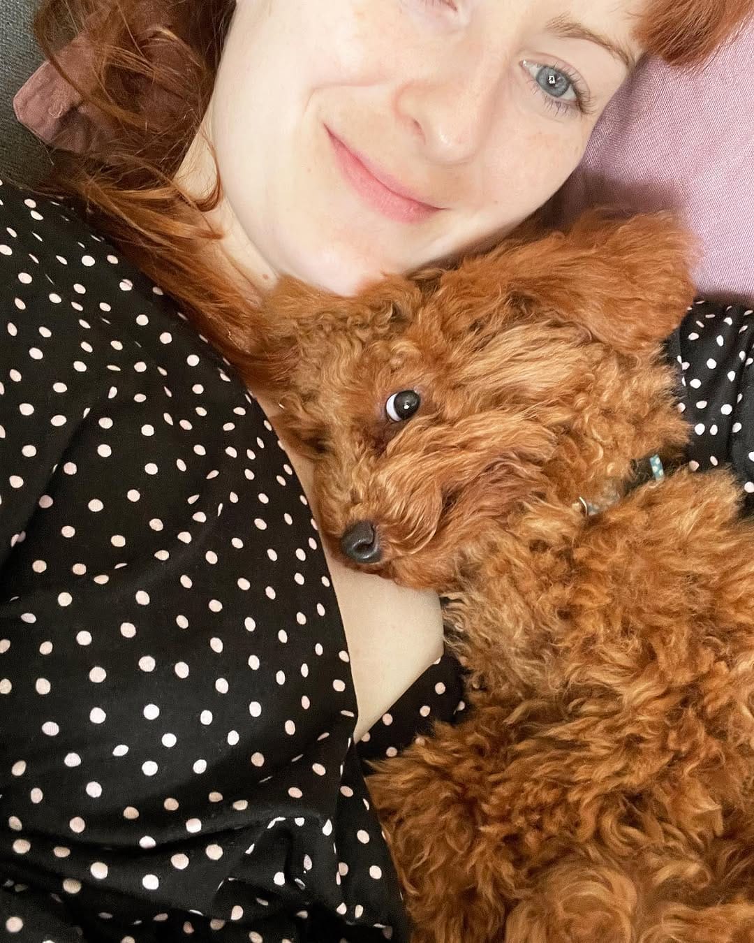 Post 10 by MARVEN 🧡 Red Toy Poodle on Instagram (carousel)