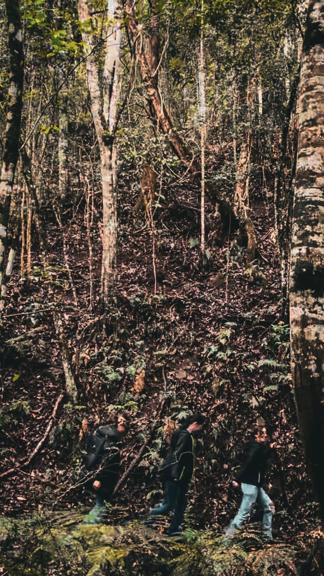Post 3 by Nature Domes on Instagram (video)