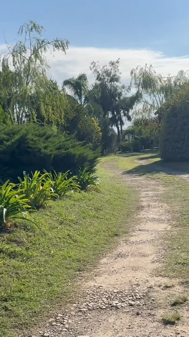 Post 7 by Cabañas La Soñada Del Rio on Instagram (video)