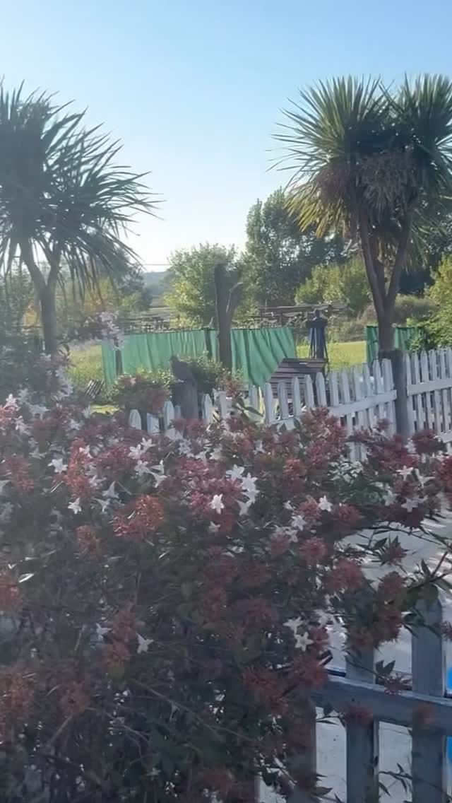 Post 10 by Cabañas La Soñada Del Rio on Instagram (video)