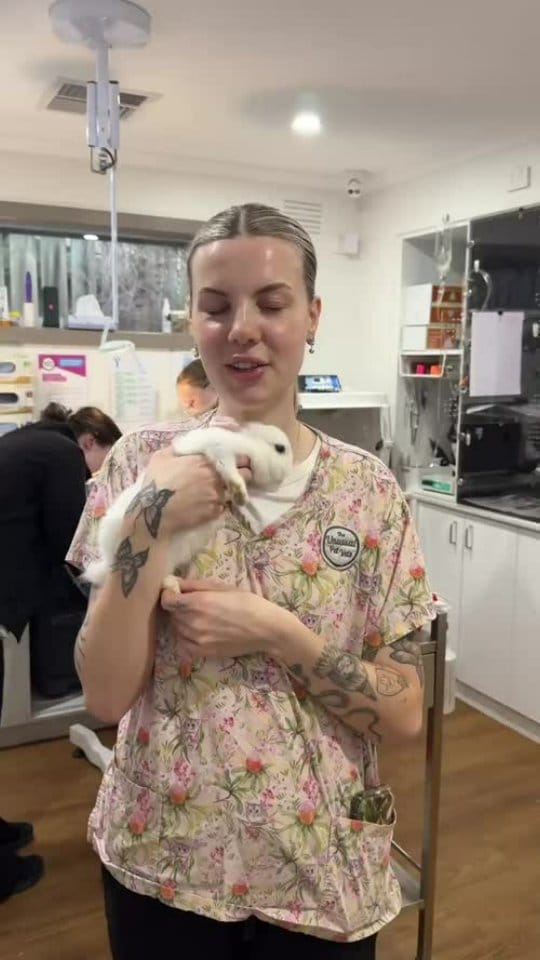 Post 1 by The Unusual Pet Vets on Instagram (video)