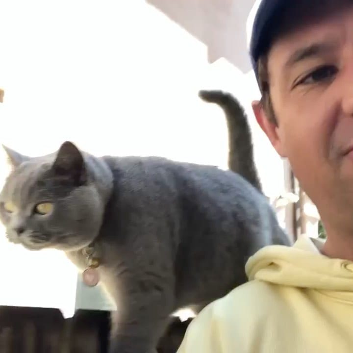 Post 8 by Pudding (RIP) & Georgie (RIP) on Instagram (video)