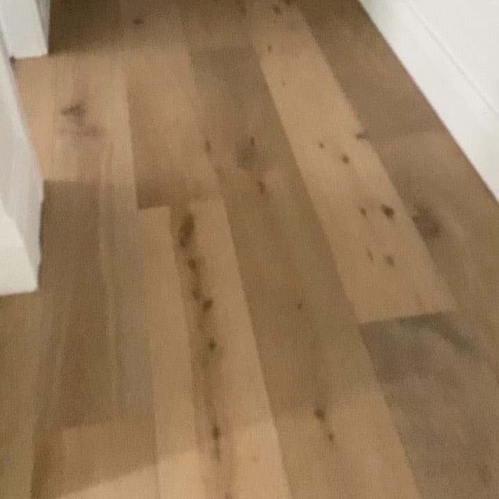 Post 4 by Pudding (RIP) & Georgie (RIP) on Instagram (video)